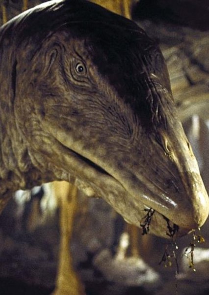 Plesiosaur photo