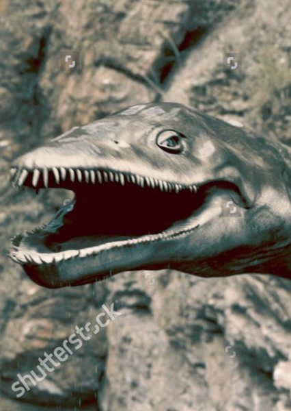 Plesiosaur photo