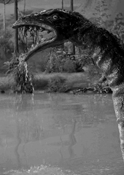 Plesiosaur photo