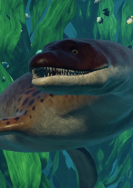 Plesiosaurus photo