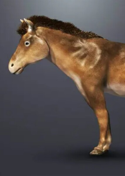 Pliohippus