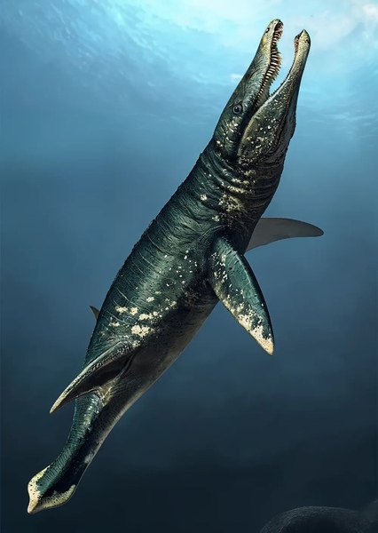 Pliosaurus photo