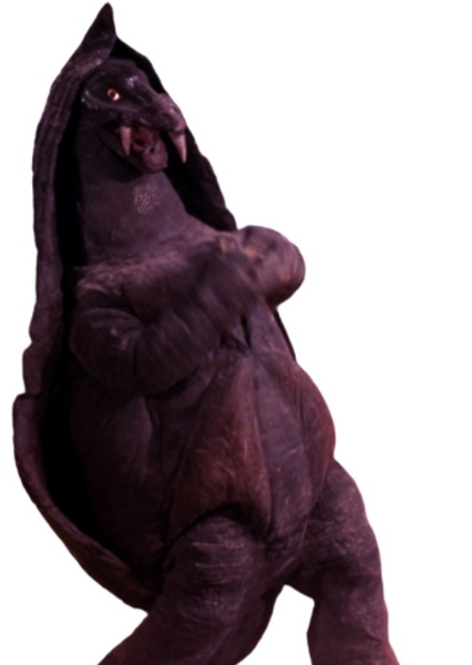 Plooma