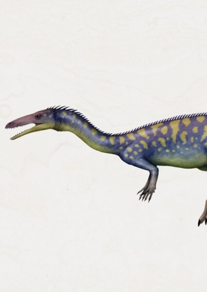 Podokesaurus