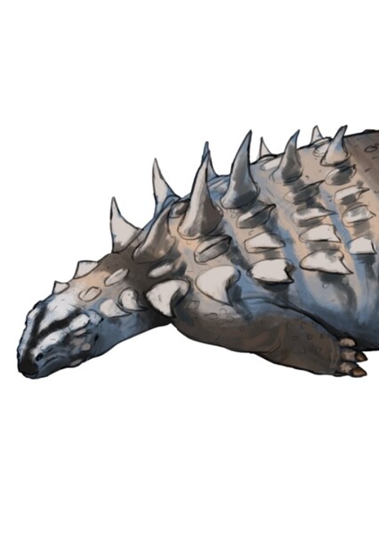 Polacanthus photo