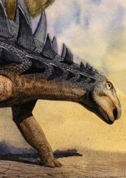Polacanthus photo