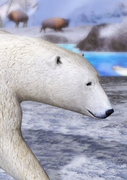 Polar Bear