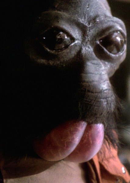 Ponda Baba photo