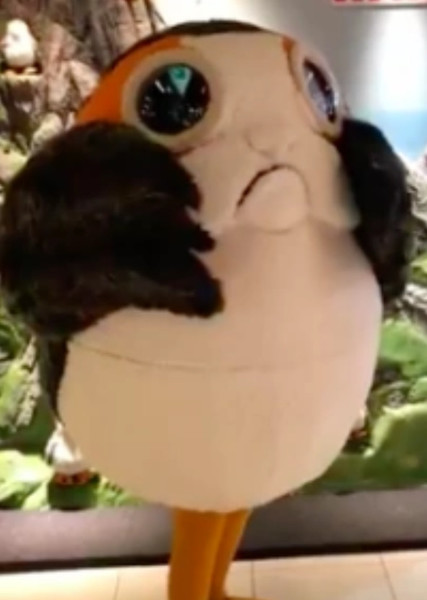 Porg photo