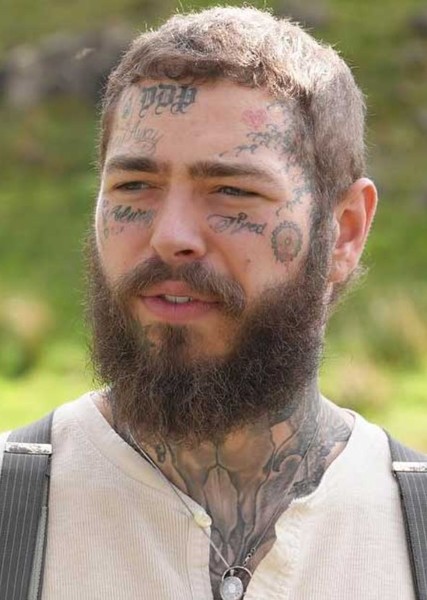 Post Malone photo