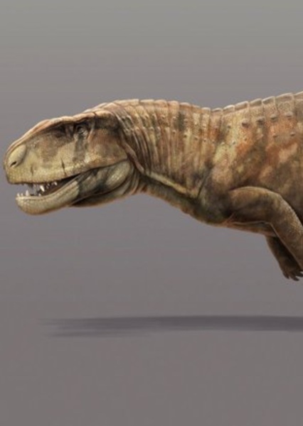 Postosuchus photo