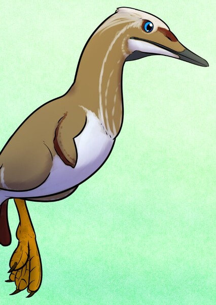 Potamornis