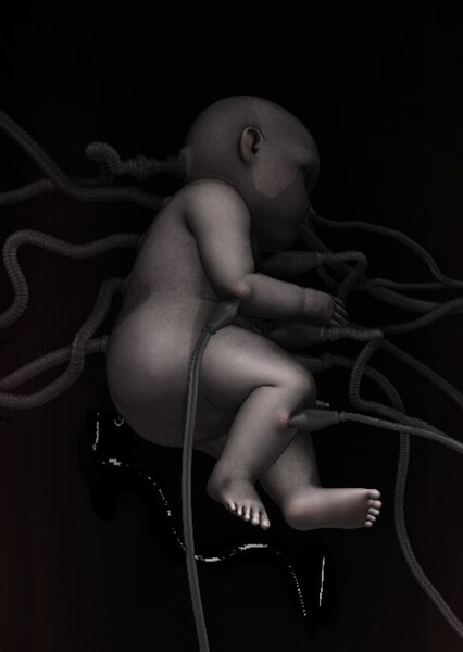 The Unborn Child