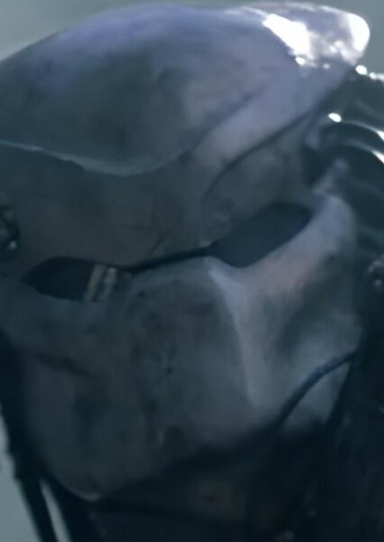 Predator photo