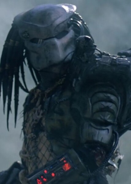 Predator photo