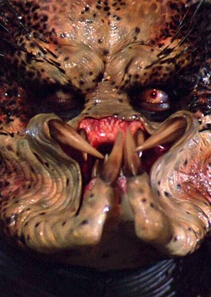 Predator photo