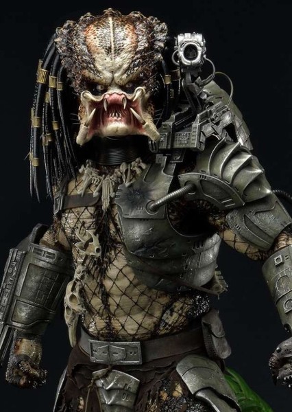 Predator photo
