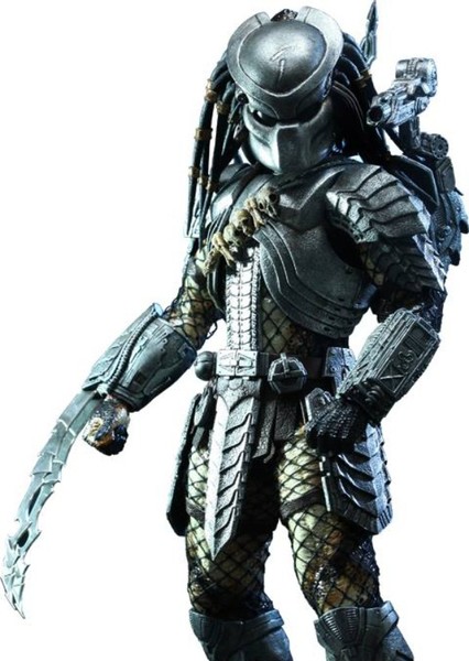 Predator photo
