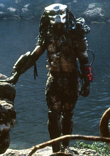 Predator photo