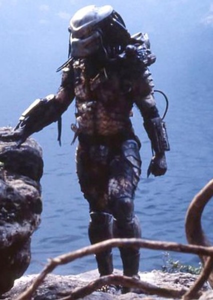 Predator photo