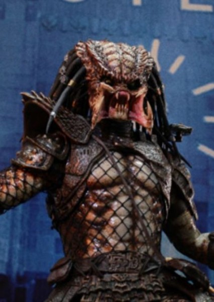 Predator photo