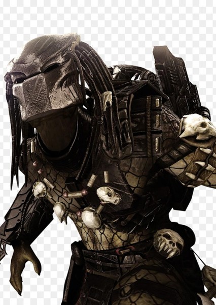 Predator photo