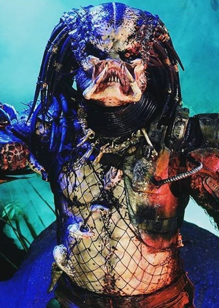 Predator photo