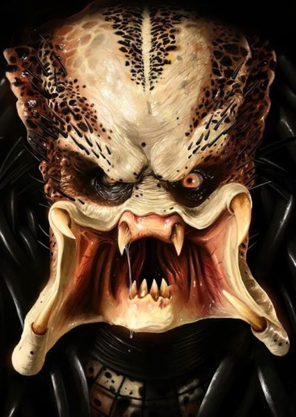 Predator photo
