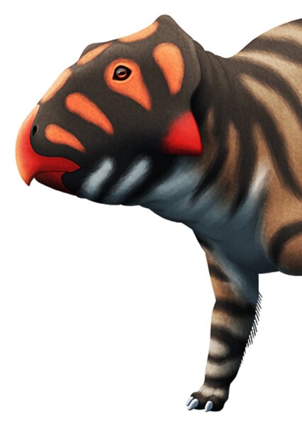 Prenoceratops