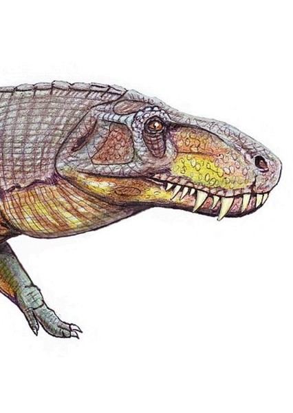 Presosuchus