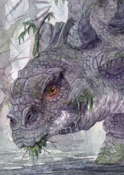 Priconodon