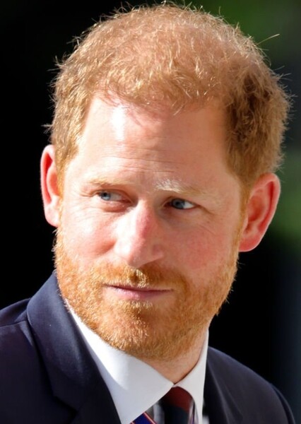 Prince Harry, Duke of Sussex photo