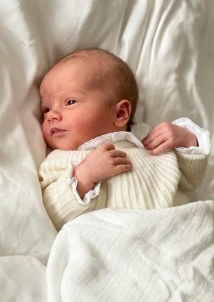 Prince Julian, Duke of Halland photo