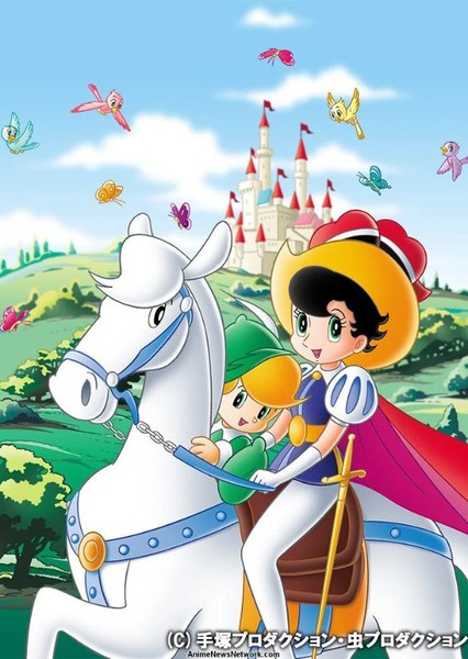 Princess Knight
