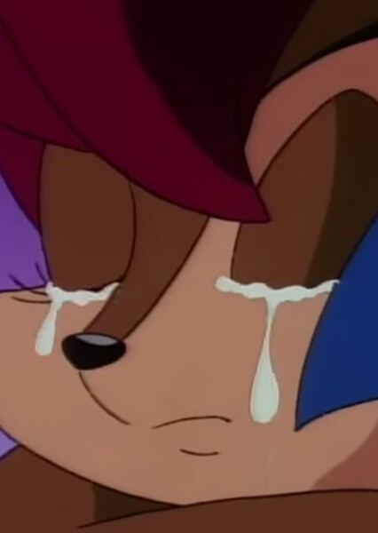 Princess Sally Acorn photo