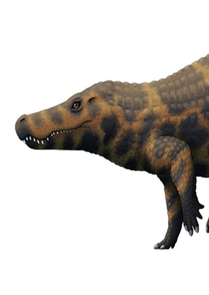 Pristichampsus