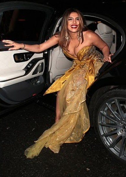 Priyanka Chopra Jonas photo