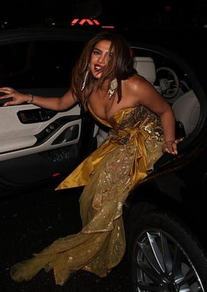 Priyanka Chopra Jonas photo