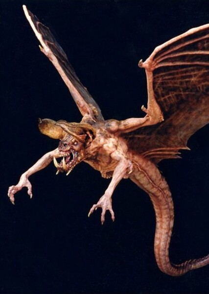Probe Bat photo