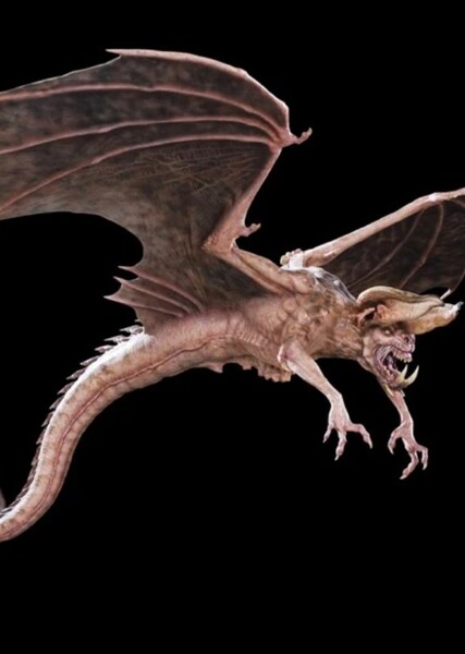 Probe Bat photo