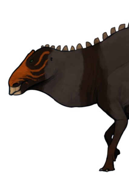 Probrachylophosaurus