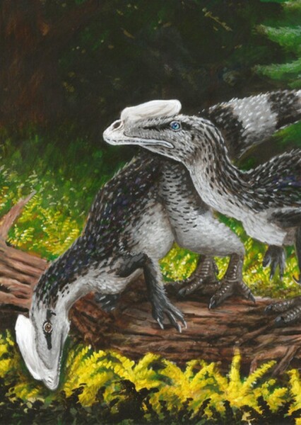 Proceratosaurus photo