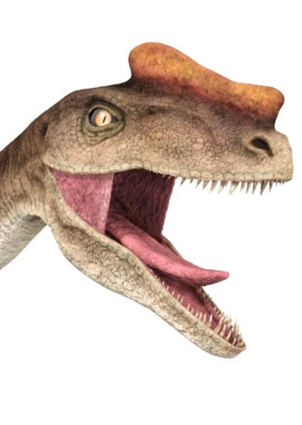 Proceratosaurus photo