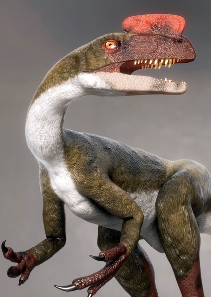 Proceratosaurus photo
