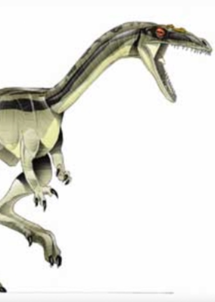 Procompsognathus photo