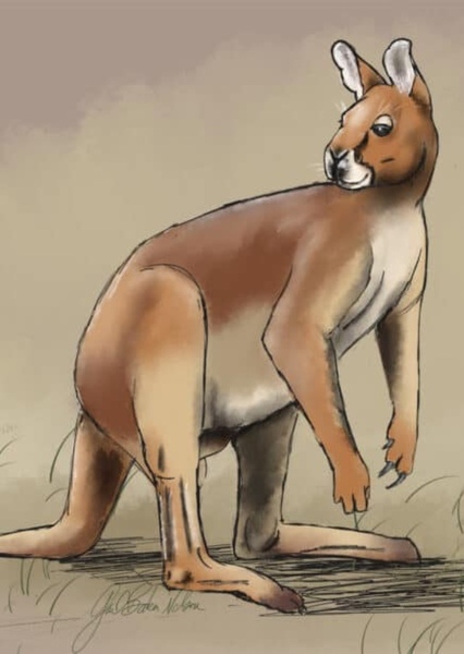 Procoptodon photo