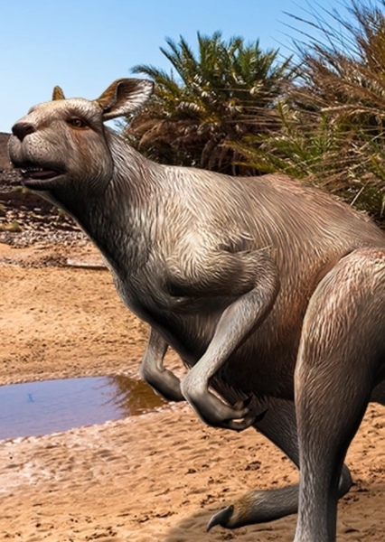 Procoptodon photo
