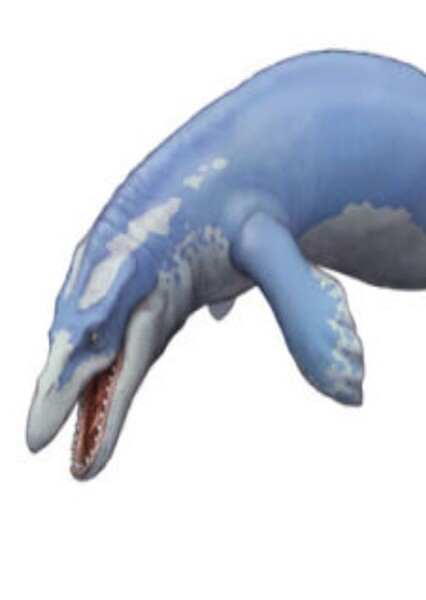 Prognathodon photo