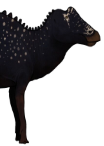 Prosaurolophus