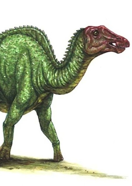 Prosaurolophus photo